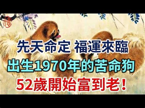 1970屬狗|1970年是什麼生肖？70年生人命運如何？五行屬釵釧。